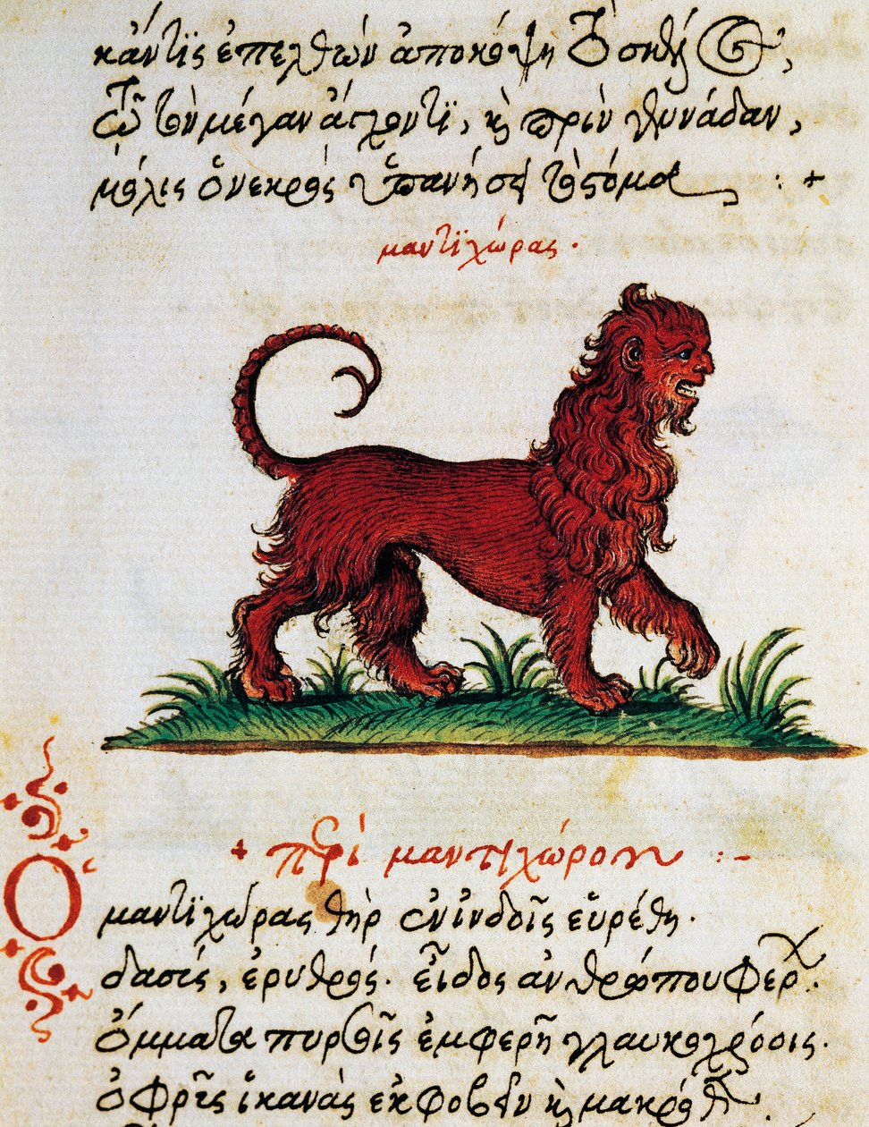 Trattato sul Grifone, testo e miniatura da De animalium natura et proprietate libellus, di Eliano (II-III secolo d.C.) da Greek School