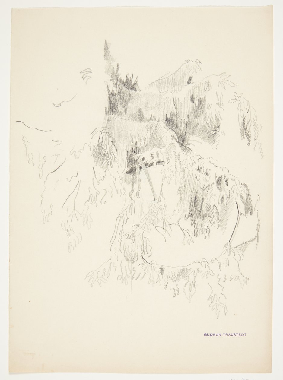 Studio di rami da Gudrun Traustedt