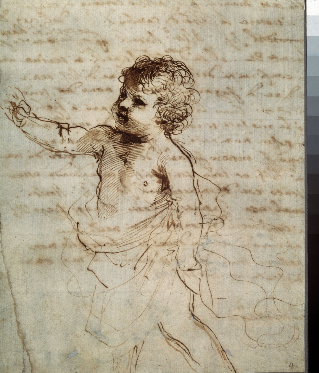 Immagine sconosciuta da Guercino