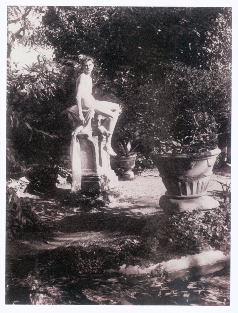 Fotografo (foto) da Guglielmo (1852 1930) Plüschow