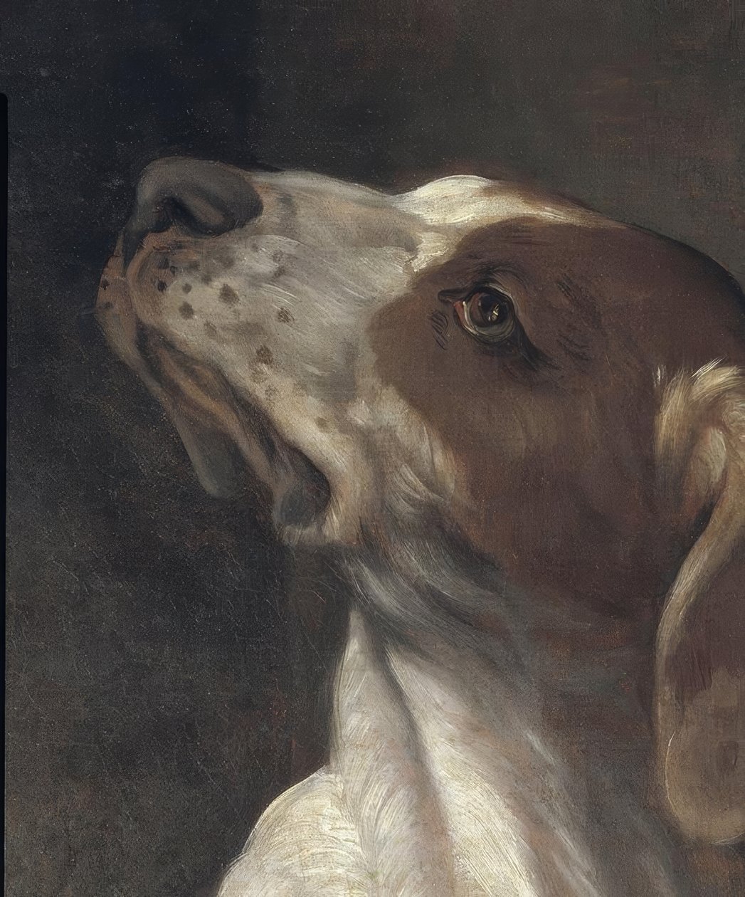 San Rocco in prigione, consolato da un angelo da Guido Reni