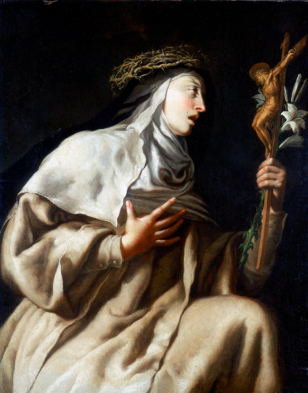 Santa Teresa d