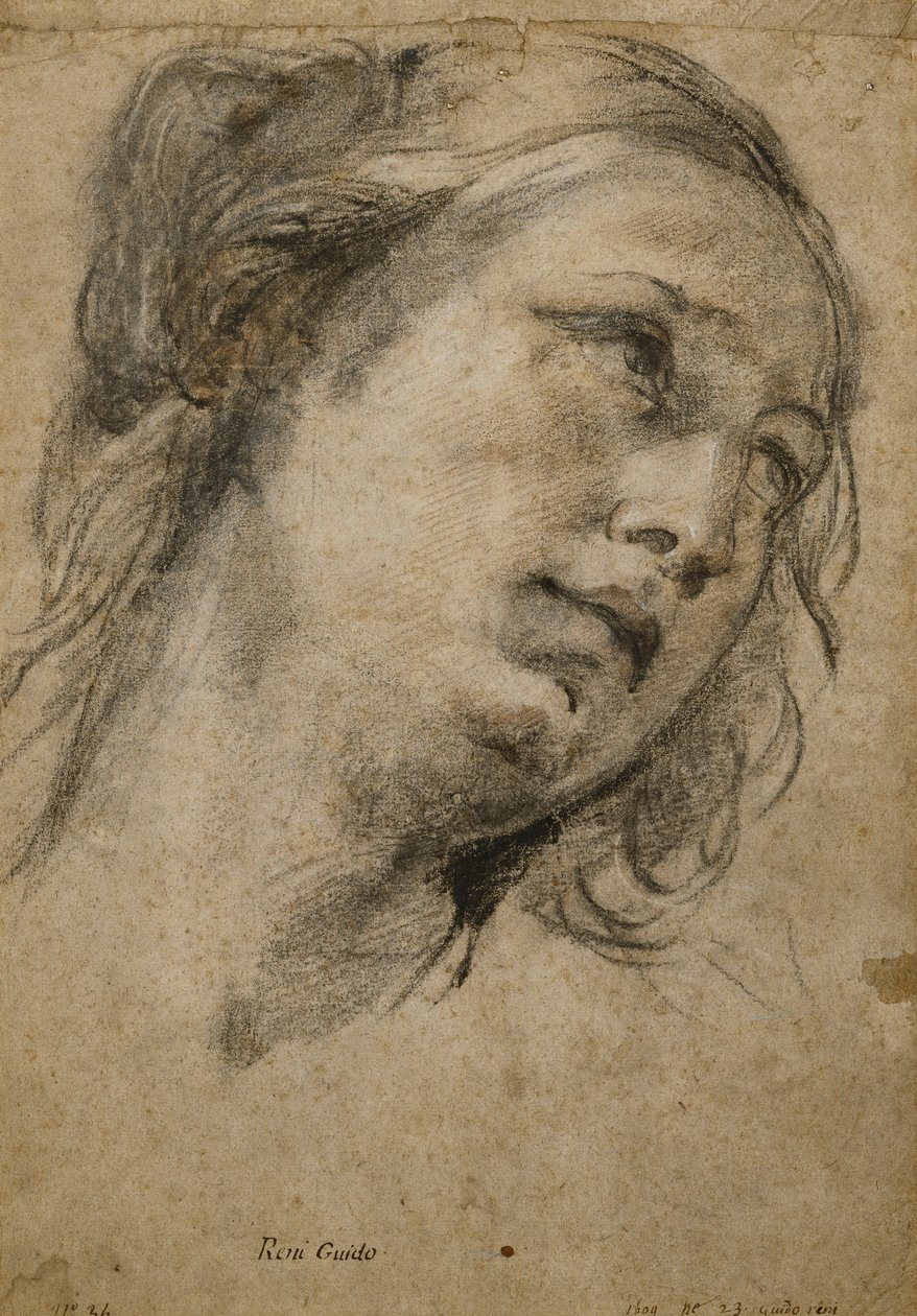 Testa di una donna che guarda in alto a destra da Guido Reni