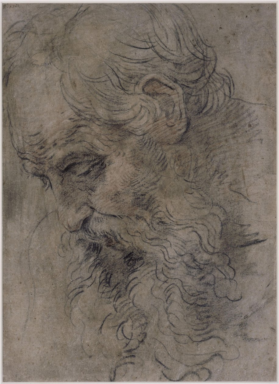 Testa di san Paolo eremita da Guido Reni