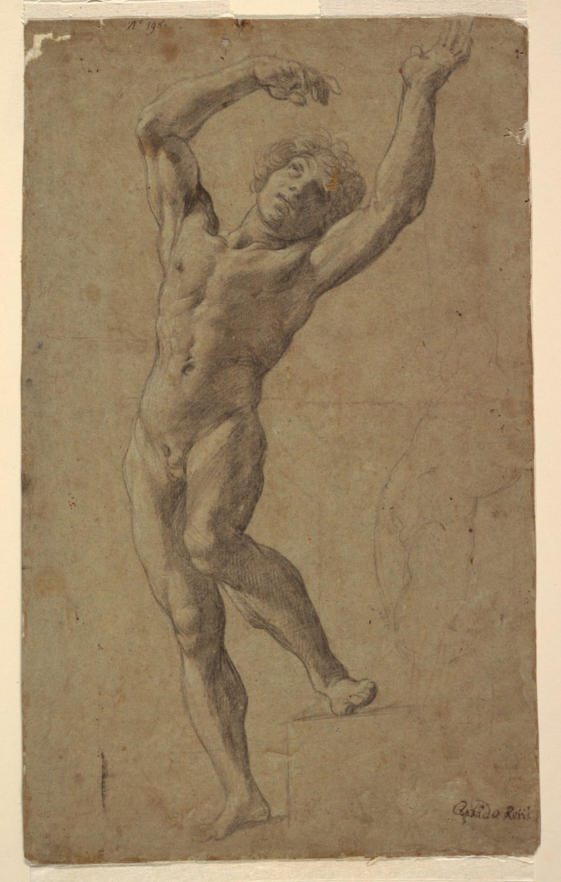 Studio per San Sebastiano, Museo Pomarici Santomasi, Puglia, Italia da Guido Reni