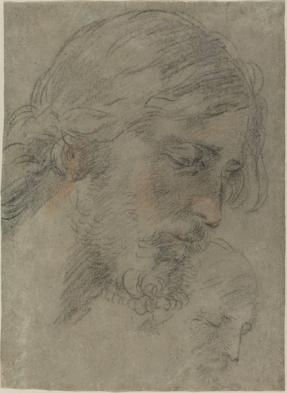 La Testa di Cristo da Guido Reni