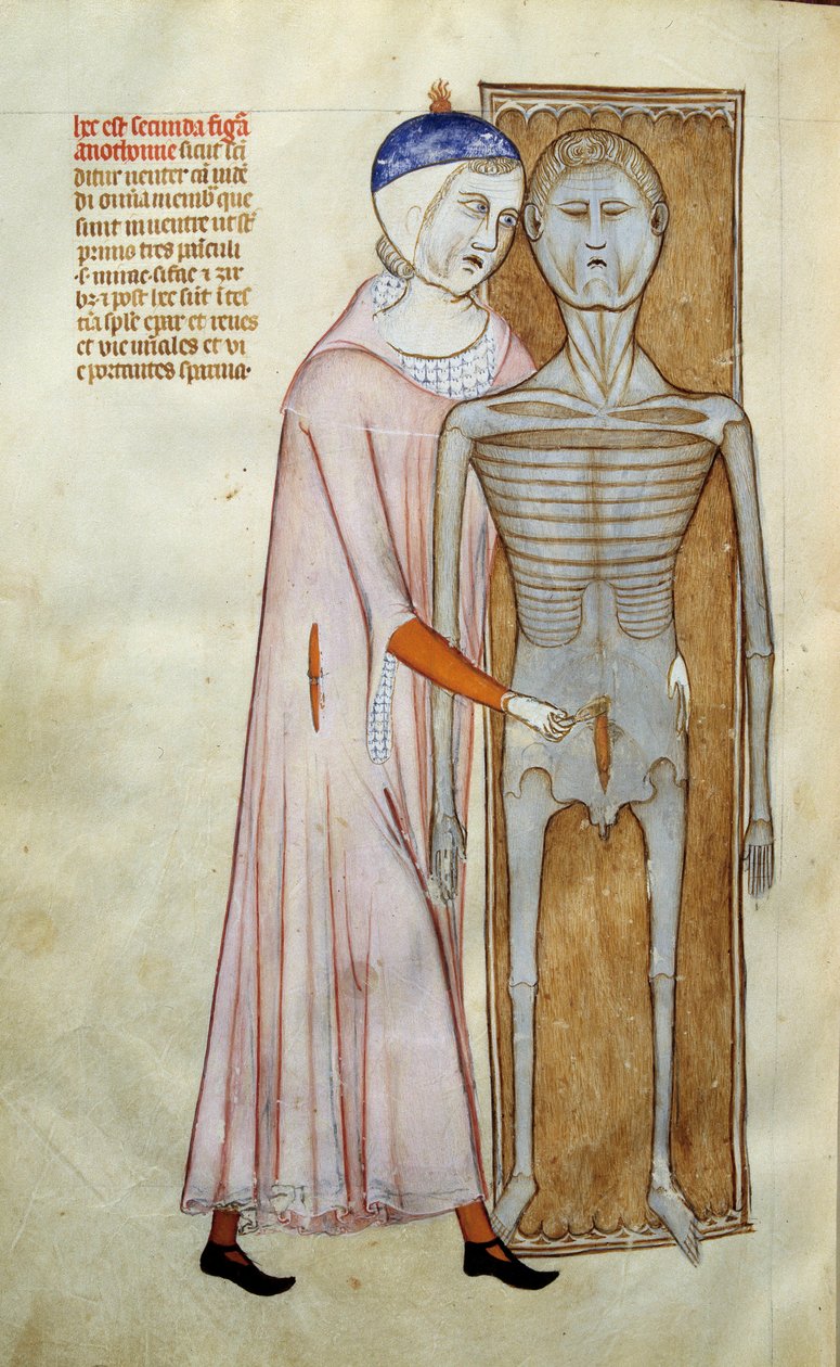 Medicina: tavola anatomica e chirurgica rappresentante una scena di dissezione da Guido da Vigevano da Pavia