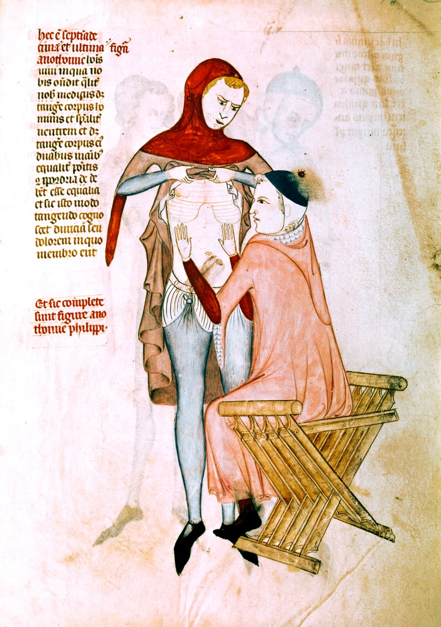 Medico che visita il paziente (miniatura) da Guido da Vigevano da Pavia