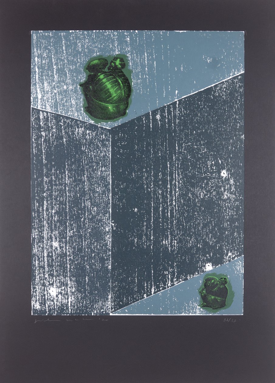 Stanza invisibile N°8, Il sogno della mia anima, 2019 da Guilherme Pontes