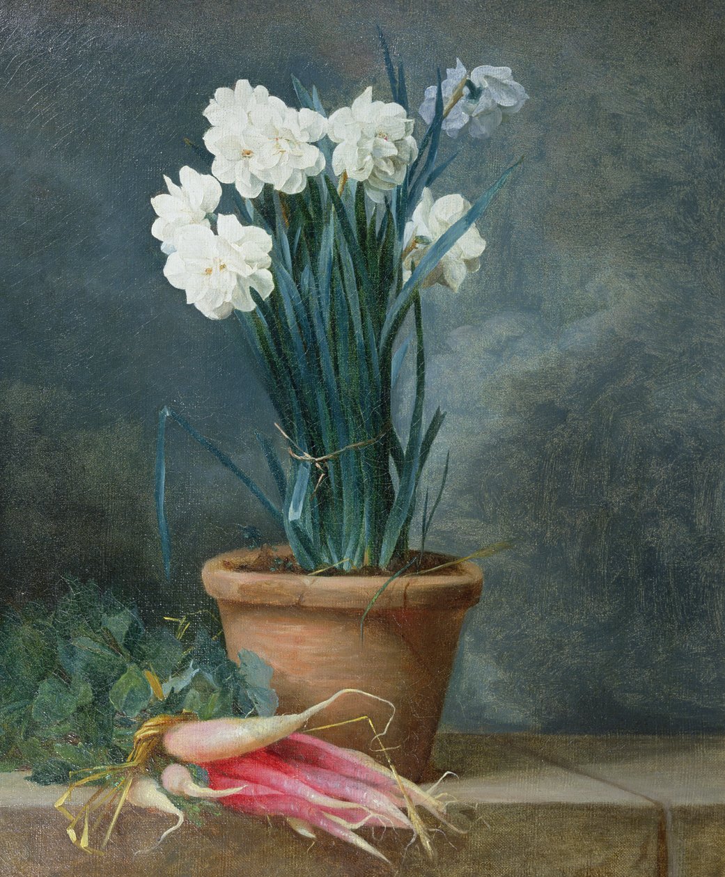 Natura morta di narcisi in un vaso di terracotta da Guillaume Thomas Raphael Taraval