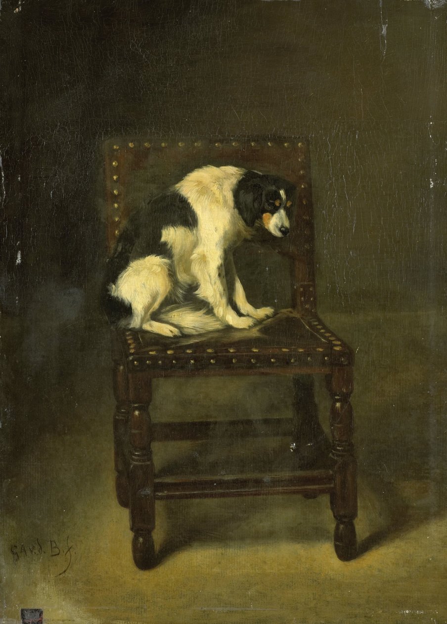 Un cane su una sedia da Guillaume Anne van der Brugghen
