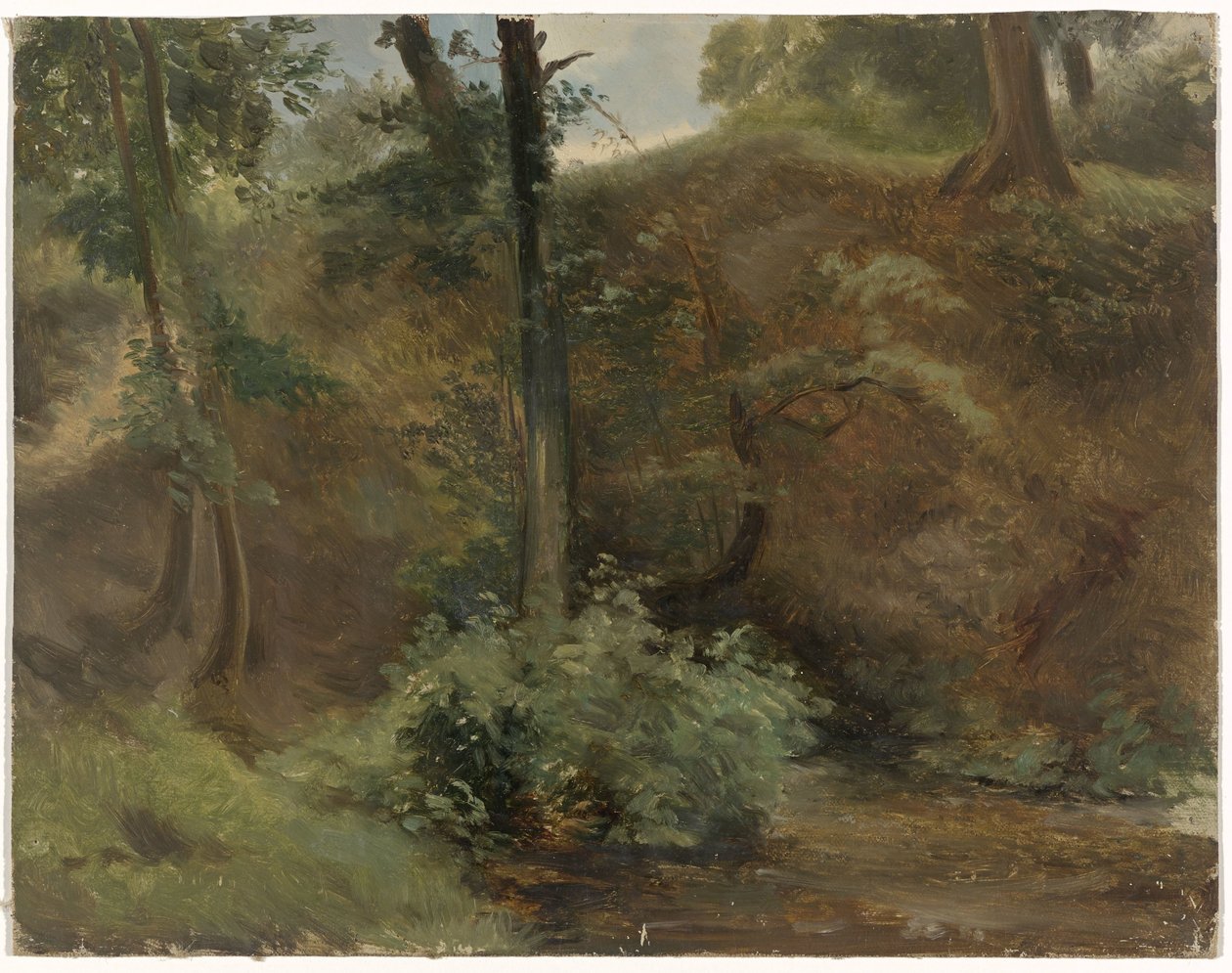 Alberi in un paesaggio dunale da Guillaume Anne van der Brugghen