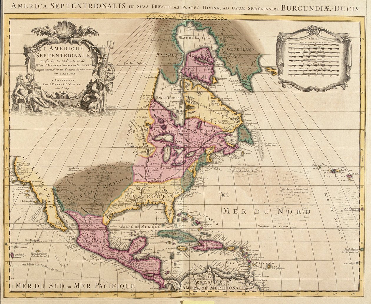 Canada orientale, Stati Uniti orientali, Messico, Guatemala, El Salvador, Belize, Honduras, Nicaragua, Costa Rica, Panama, Antigua e Barbuda, Bahamas, Barbados, Cuba, Dominica, Giamaica, Grenada, Haiti, Repubblica Dominicana, Saint Kitts e Nevis, Santa Luc da Guillaume Delisle