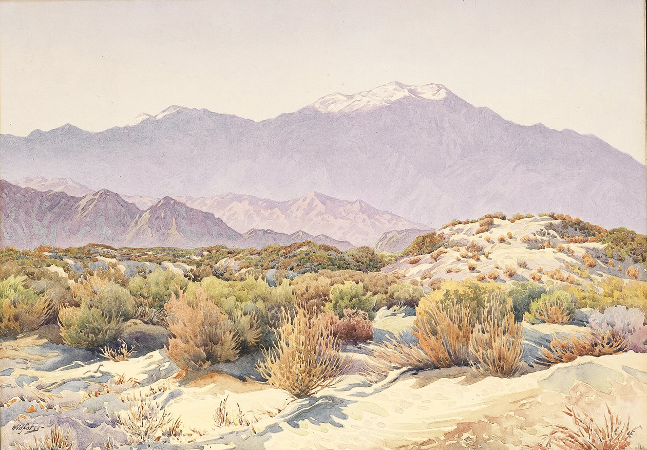 San Jacinto da Gunnar Widforss