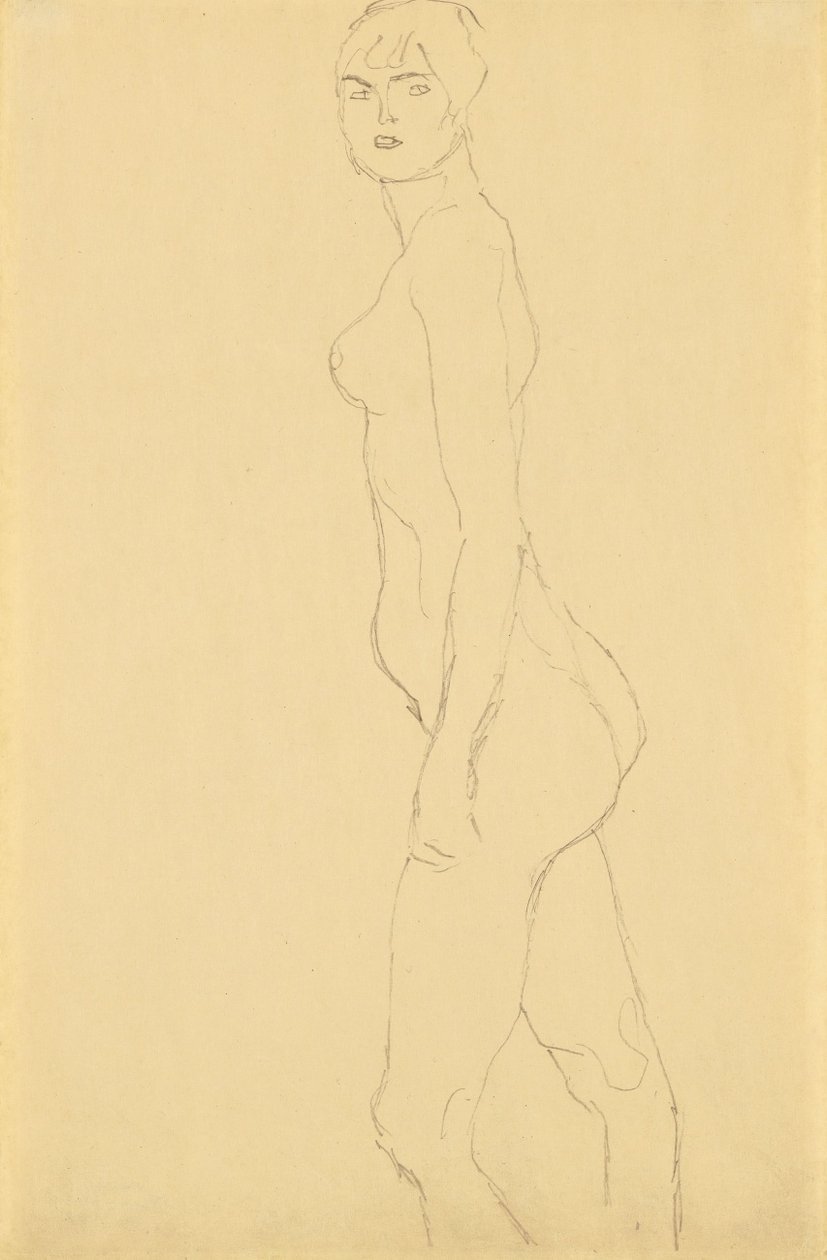 Nudo verso sinistra da Gustav Klimt