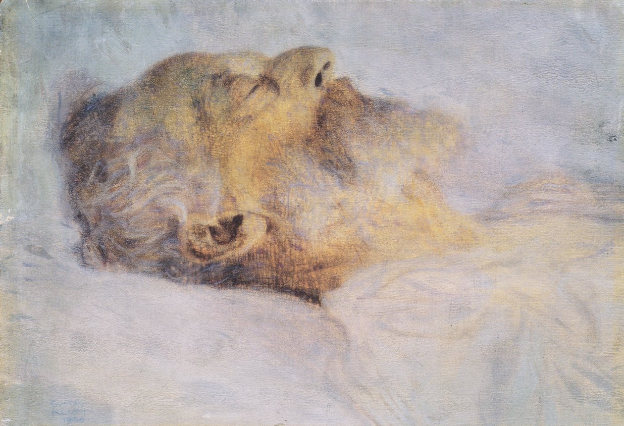 Vecchio uomo sul letto di morte da Gustav Klimt