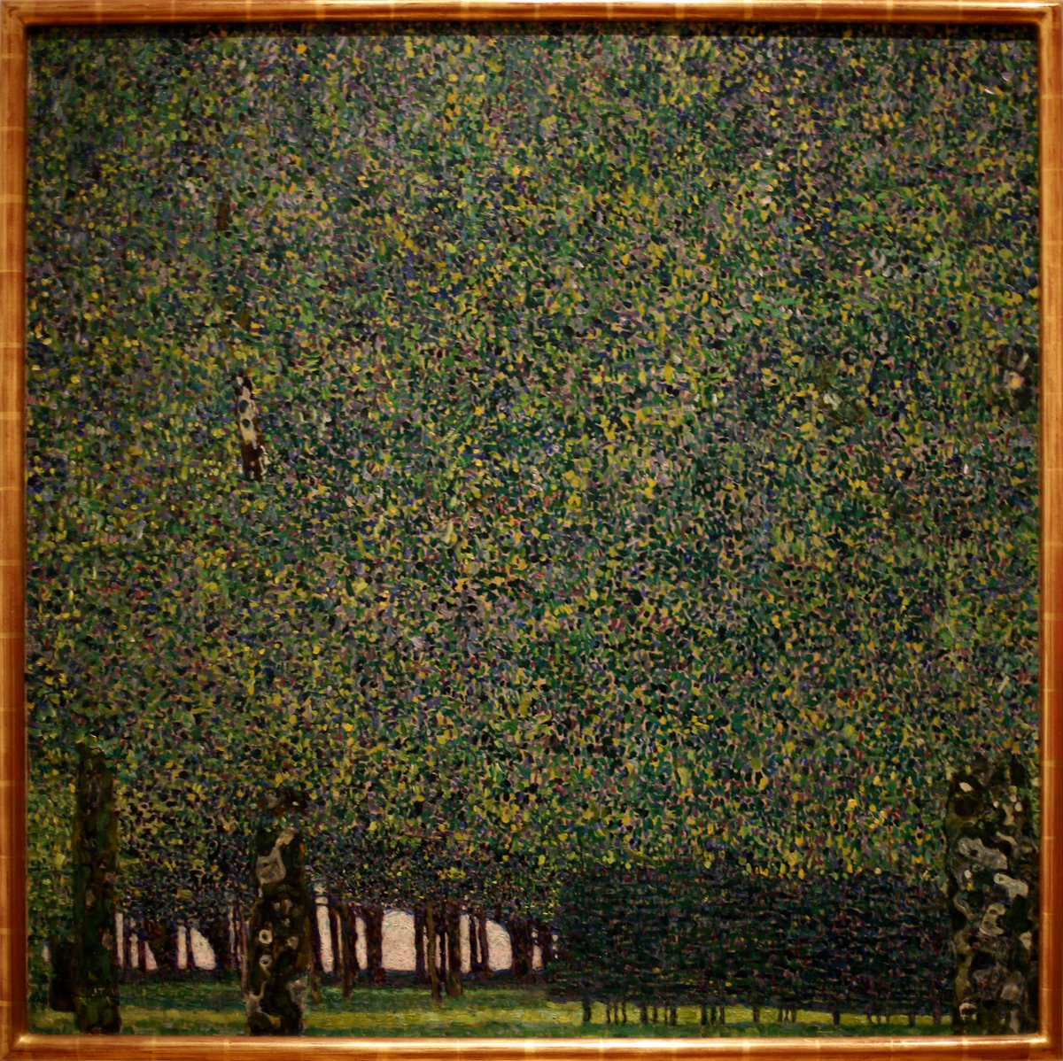 Il parco da Gustav Klimt