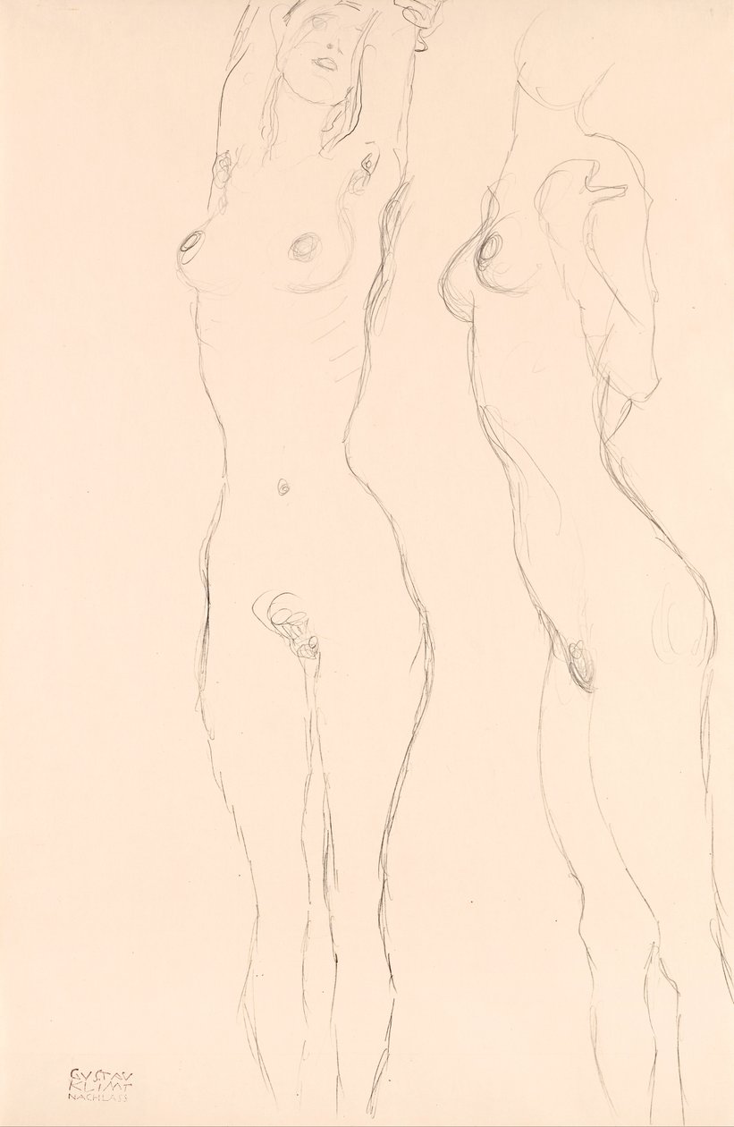 Due nudi, il sinistro con le braccia alzate da Gustav Klimt