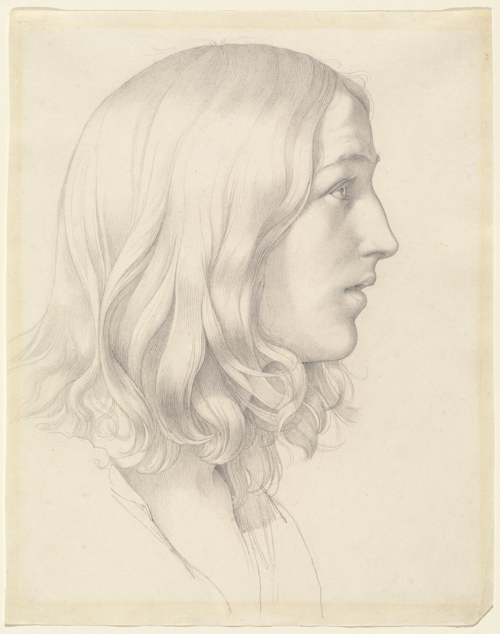 Testa di un giovane uomo da Gustav Heinrich Naeke