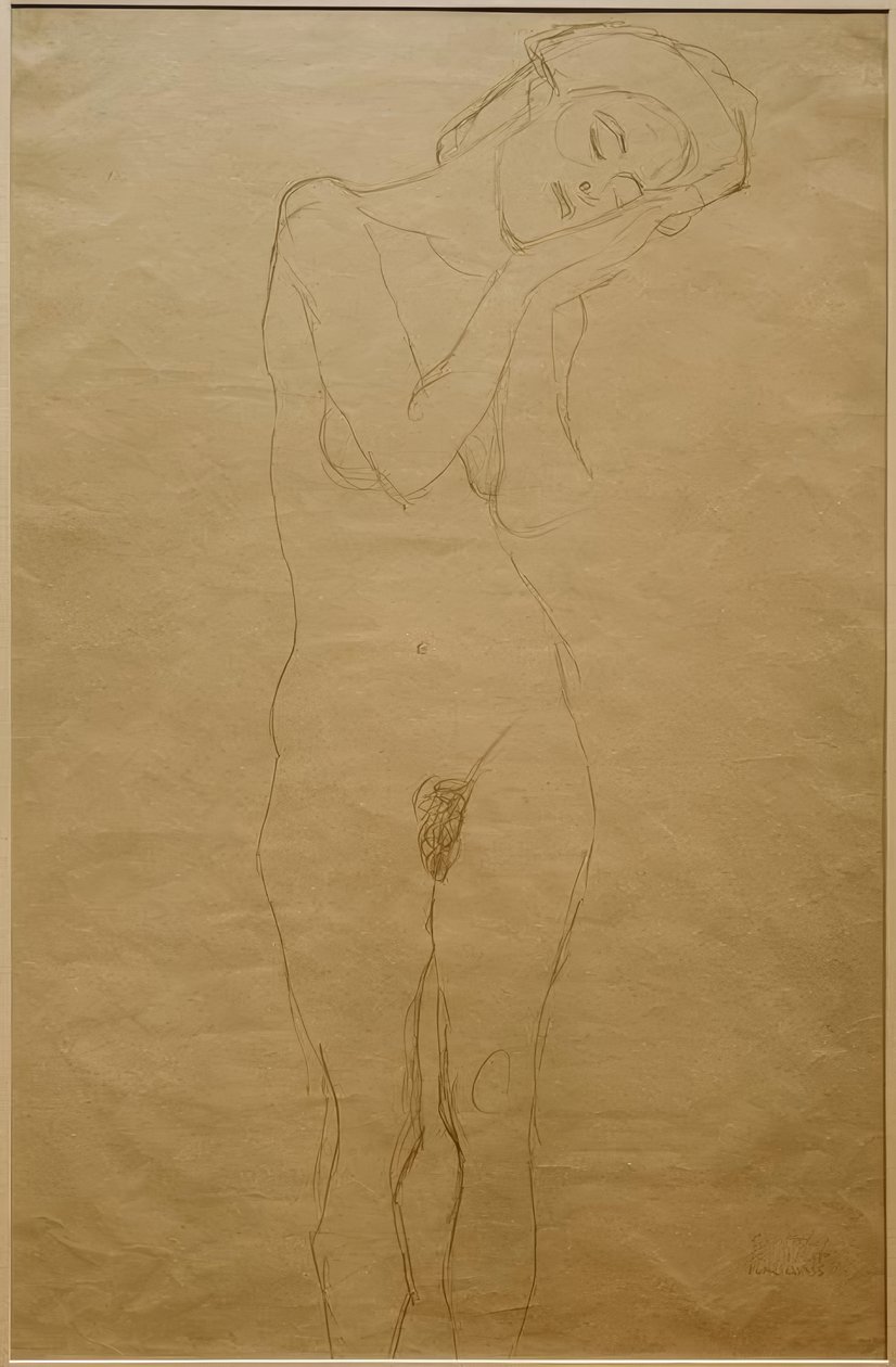 Nudo di ragazza di fronte, le mani sulle guance da Gustav Klimt
