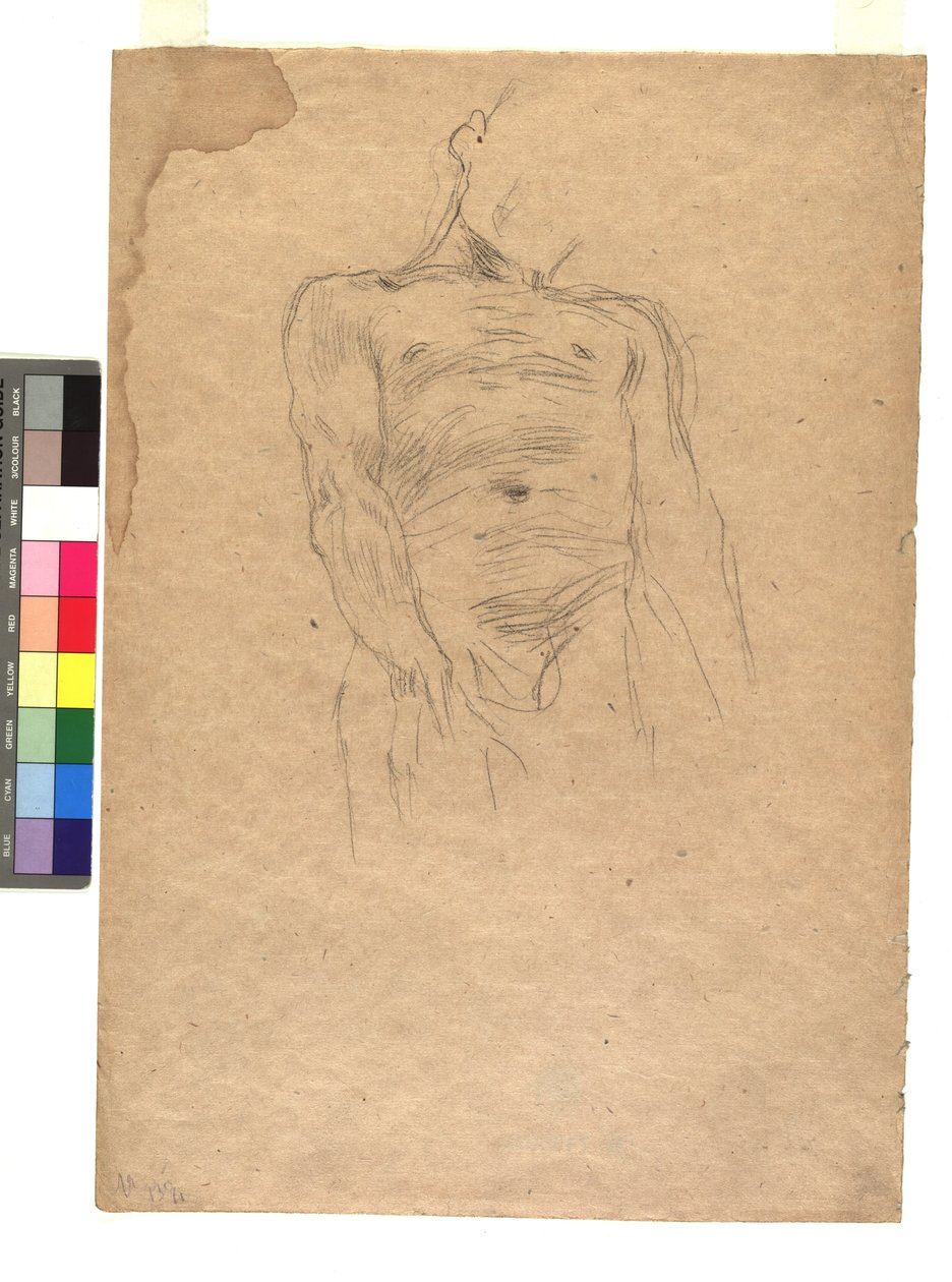 Männlicher Torso da Gustav Klimt