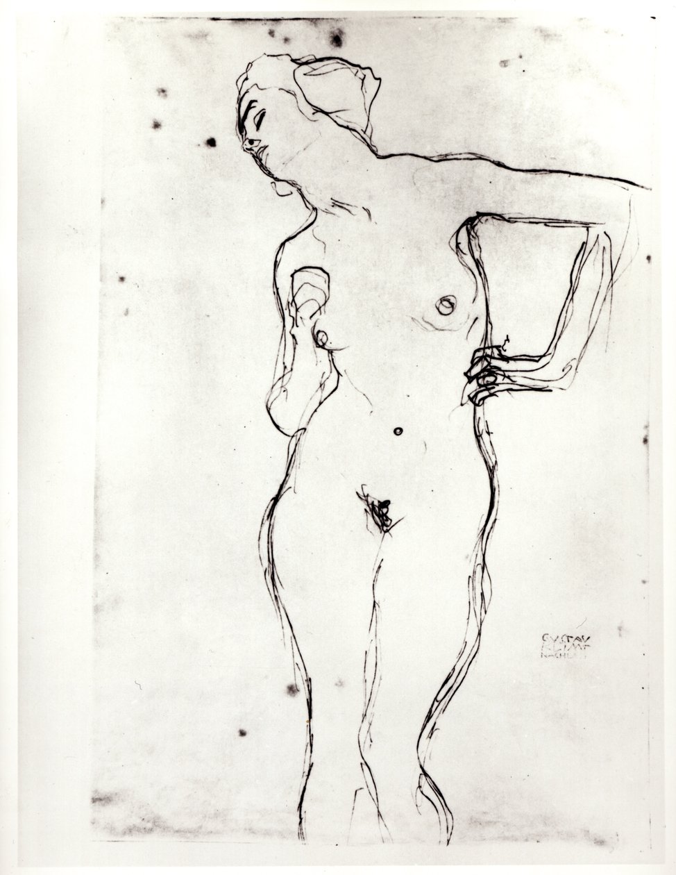 Nudo da Gustav Klimt