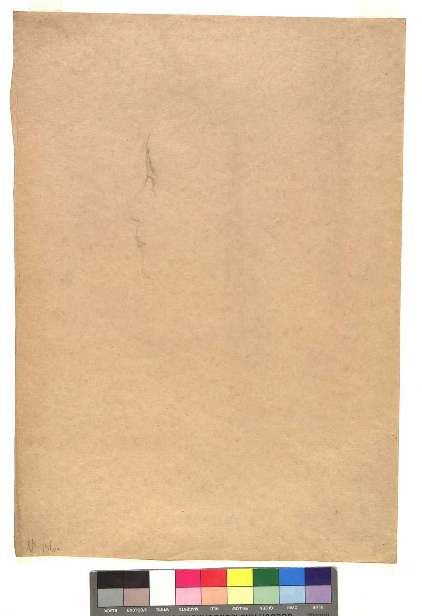 Weibliches Gesicht im Profil nach links da Gustav Klimt