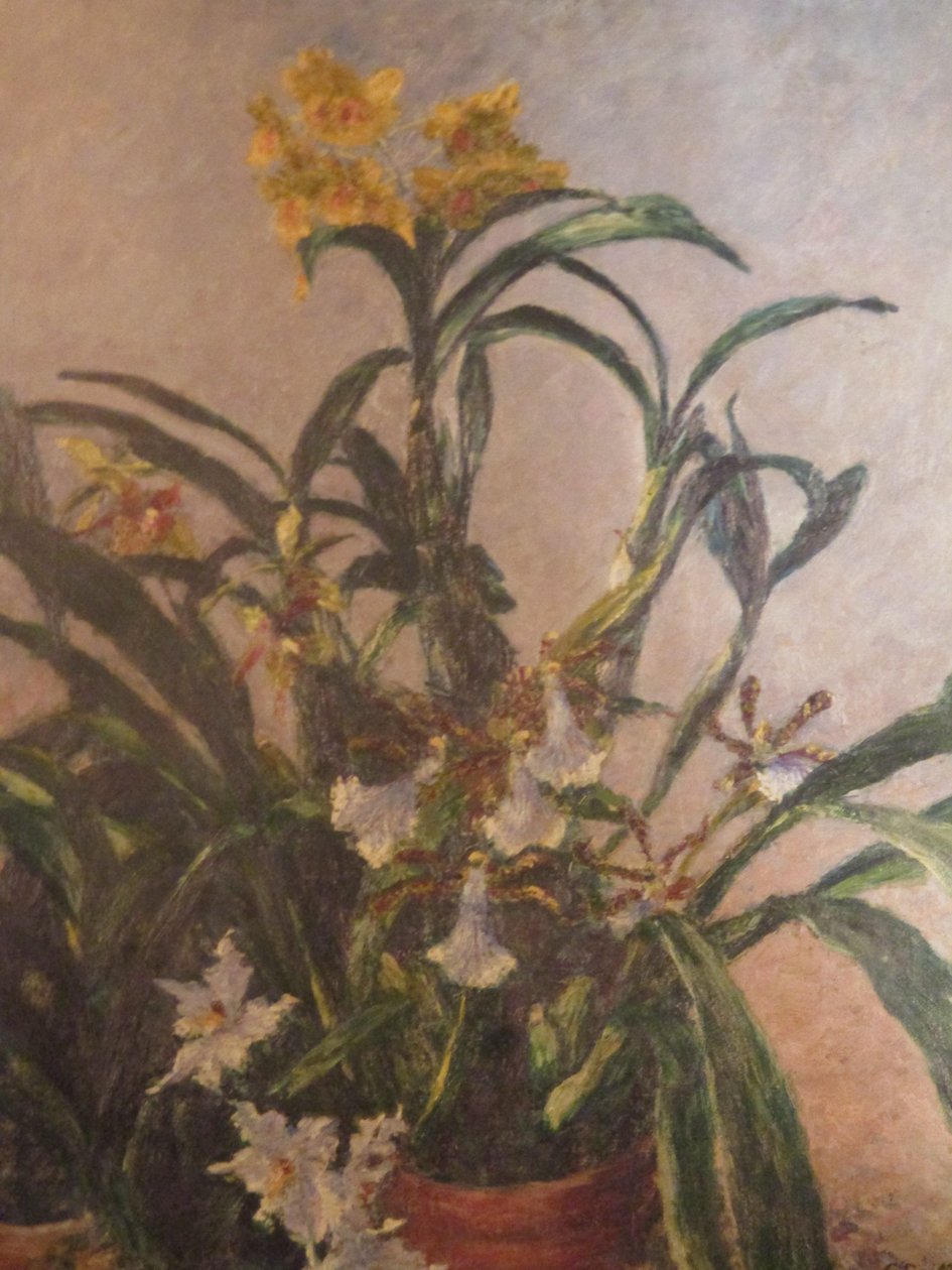 Orchidee gialle da Gustave Caillebotte