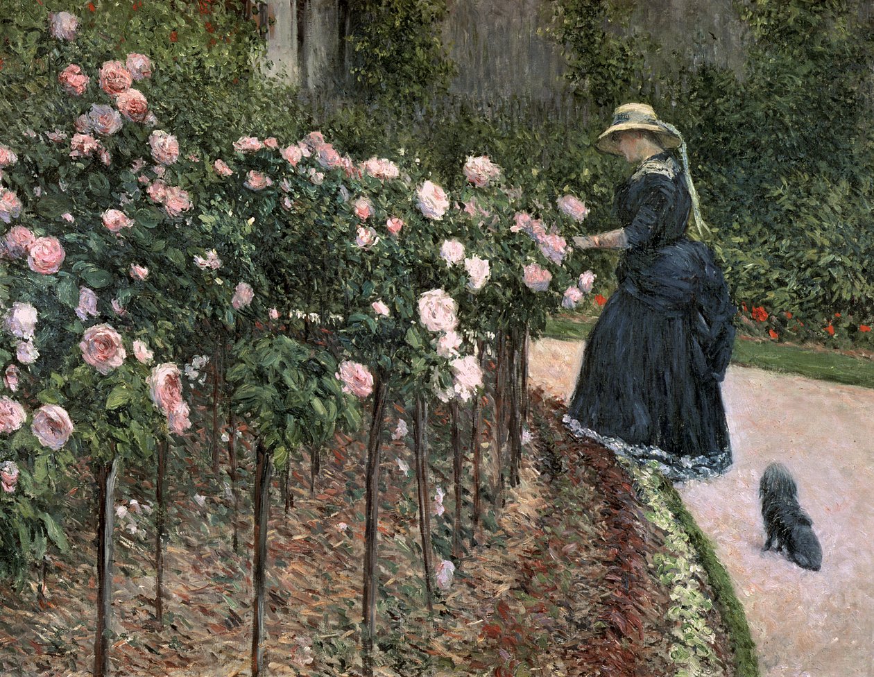 Rose nel giardino di Petit Gennevilliers, 1886 da Gustave Caillebotte