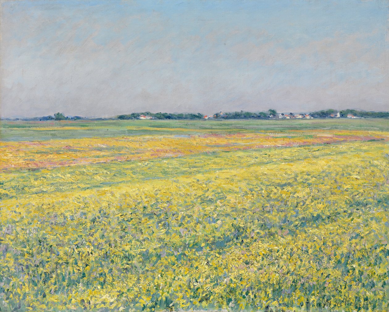 La pianura di Gennevilliers, campi gialli da Gustave Caillebotte