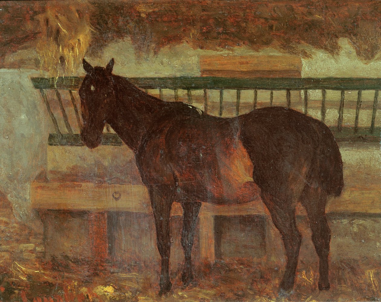 Un cavallo da tiro della città di Saintes, 1863 da Gustave Courbet
