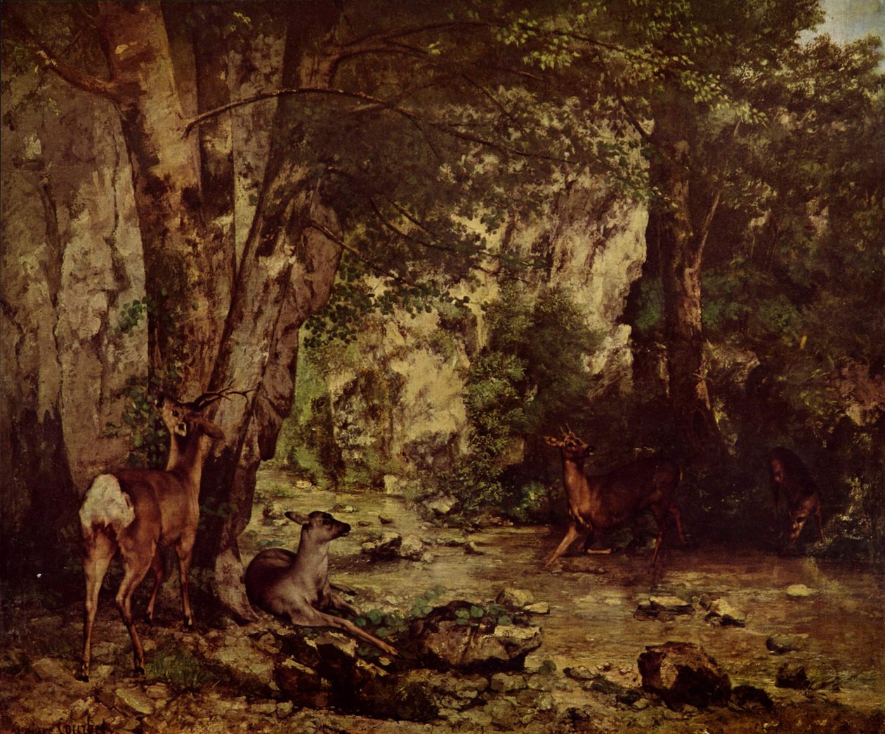 Capriolo nel bosco da Gustave Courbet