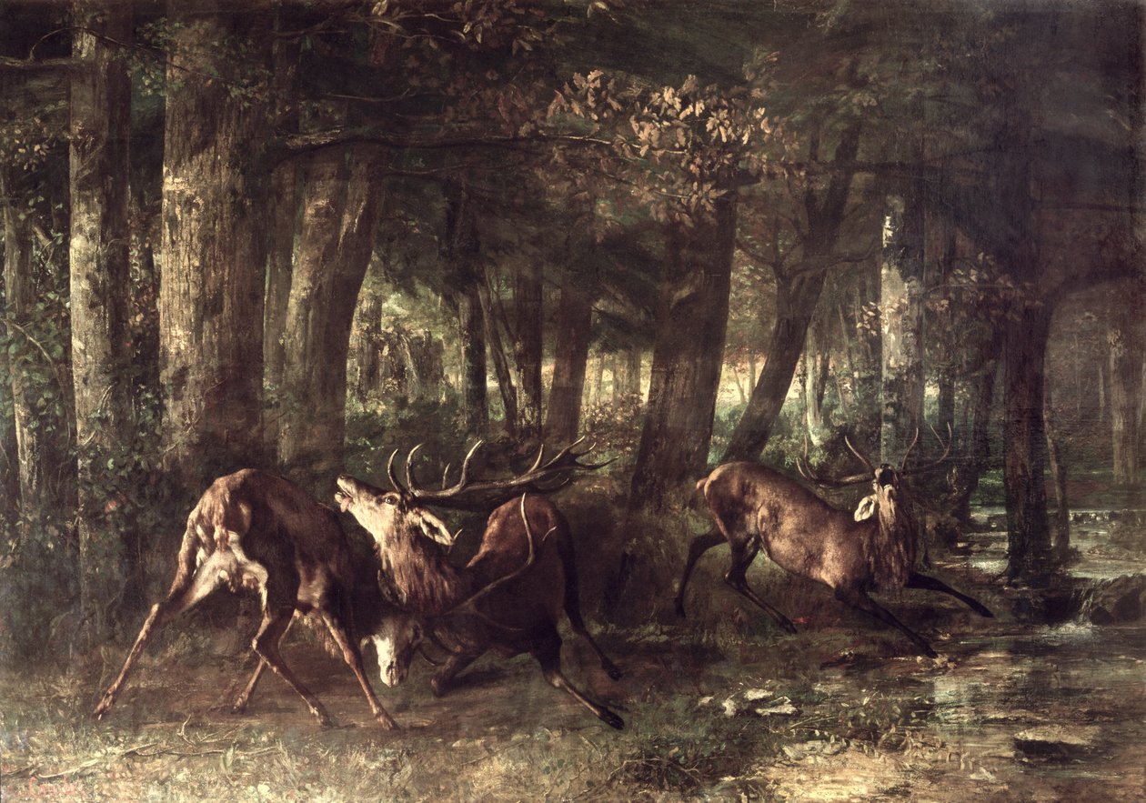 Primavera, cervi che combattono, 1861 da Gustave Courbet
