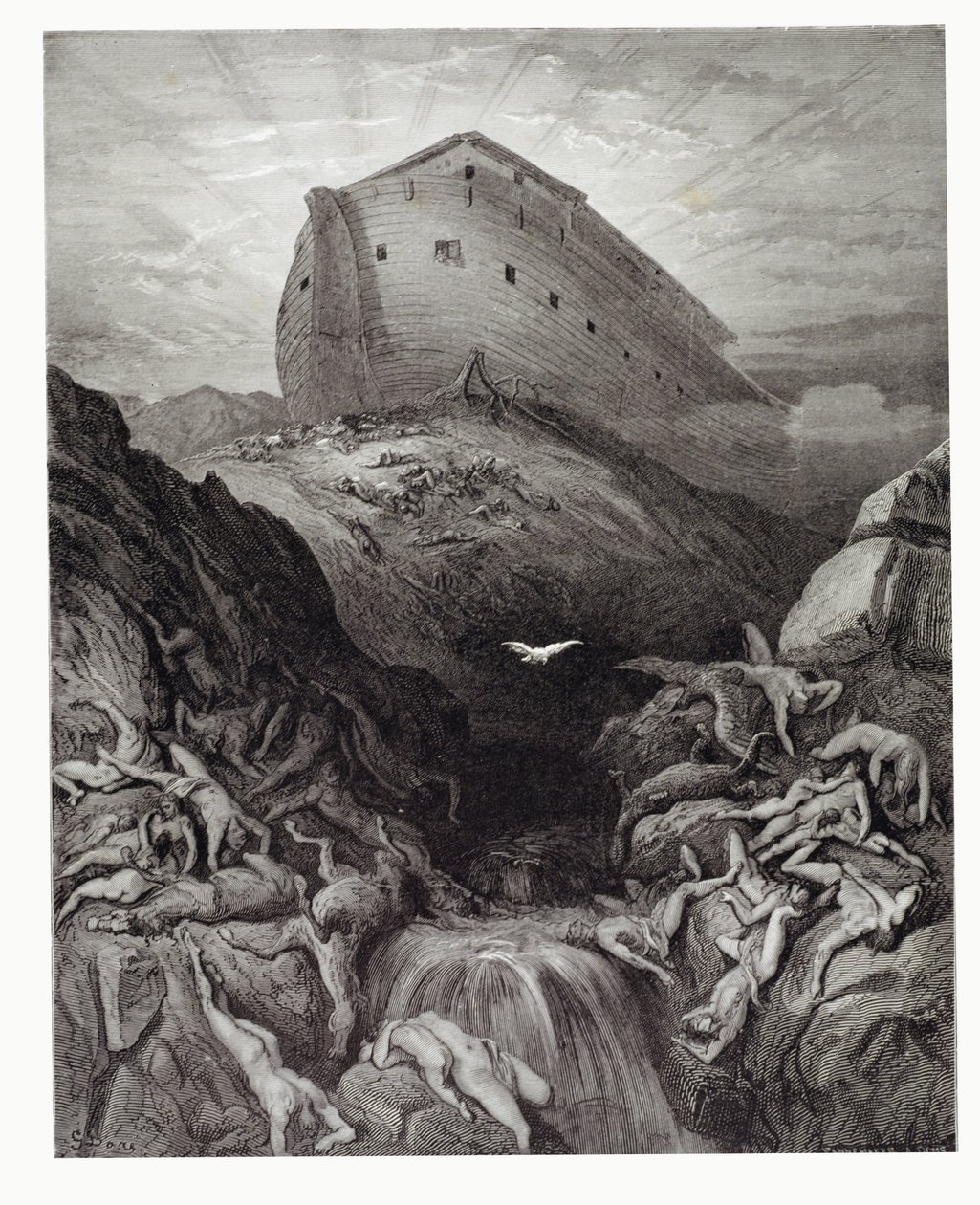 La colomba inviata dall