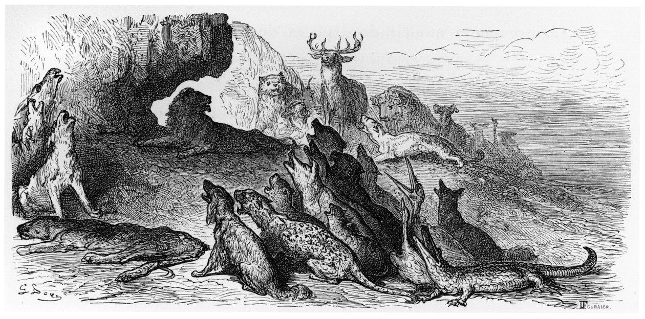 Il funerale della leonessa, illustrazione da 