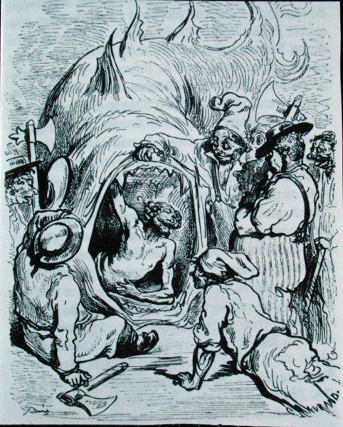 Illustrazione per 