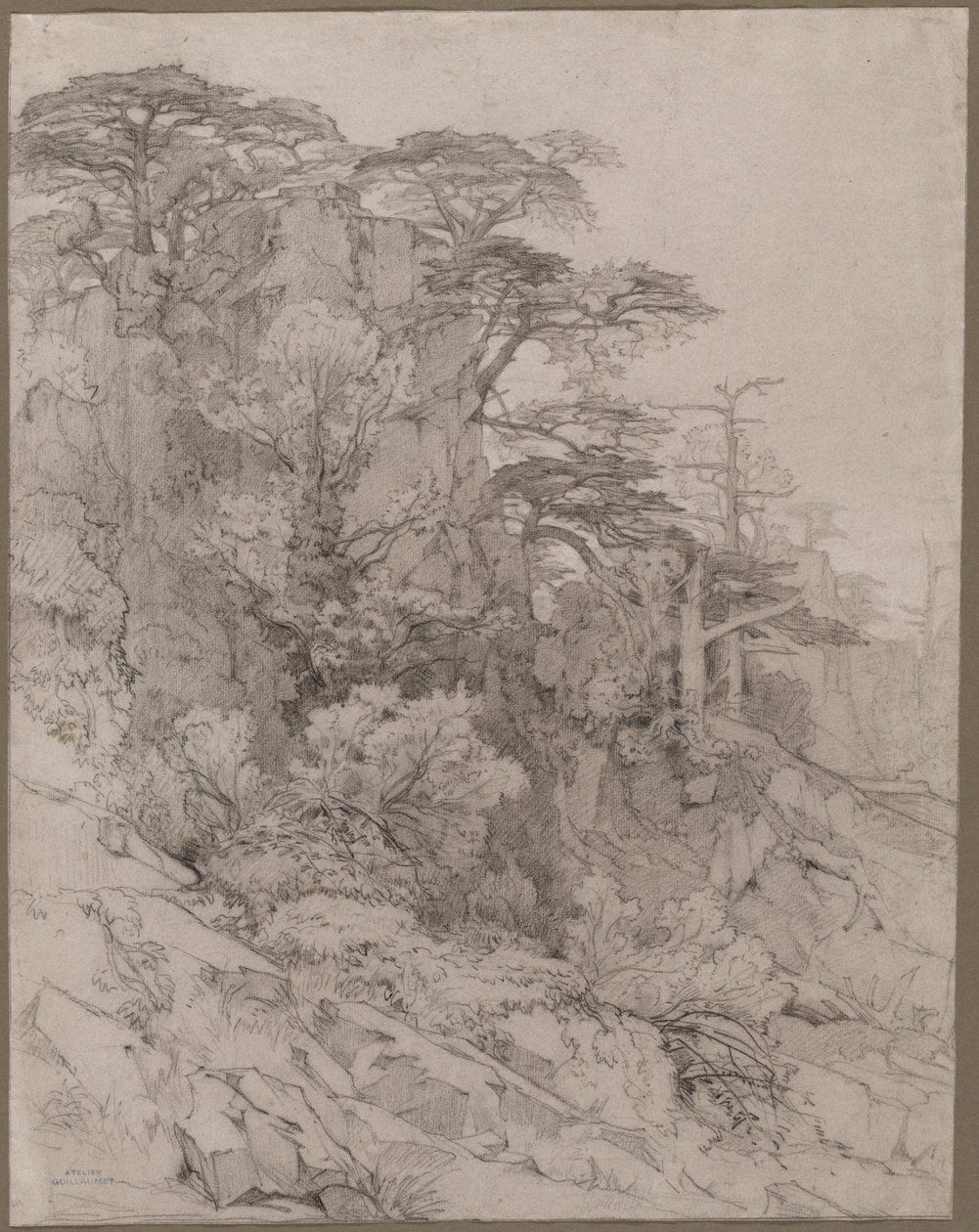Alberi su un pendio roccioso da Gustave Achille Guillaumet