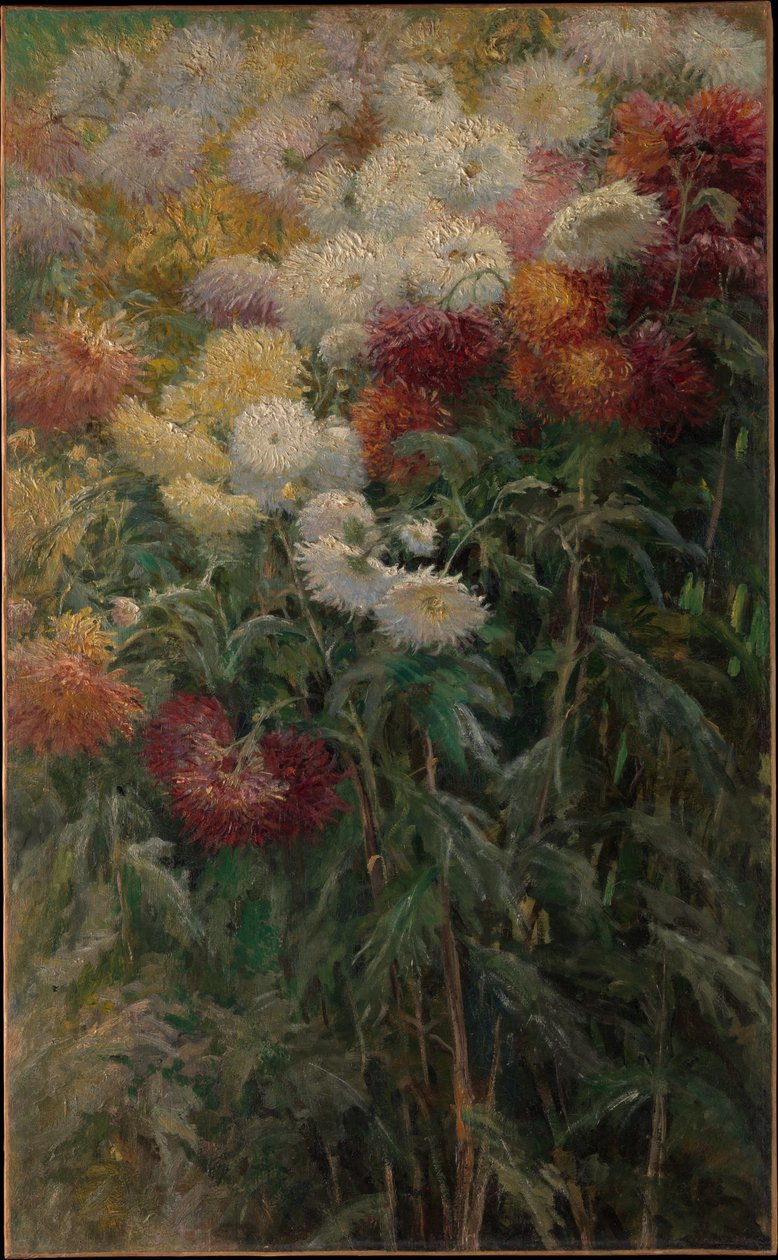 I crisantemi nel giardino di Petit-Gennevilliers da Gustave Caillebotte