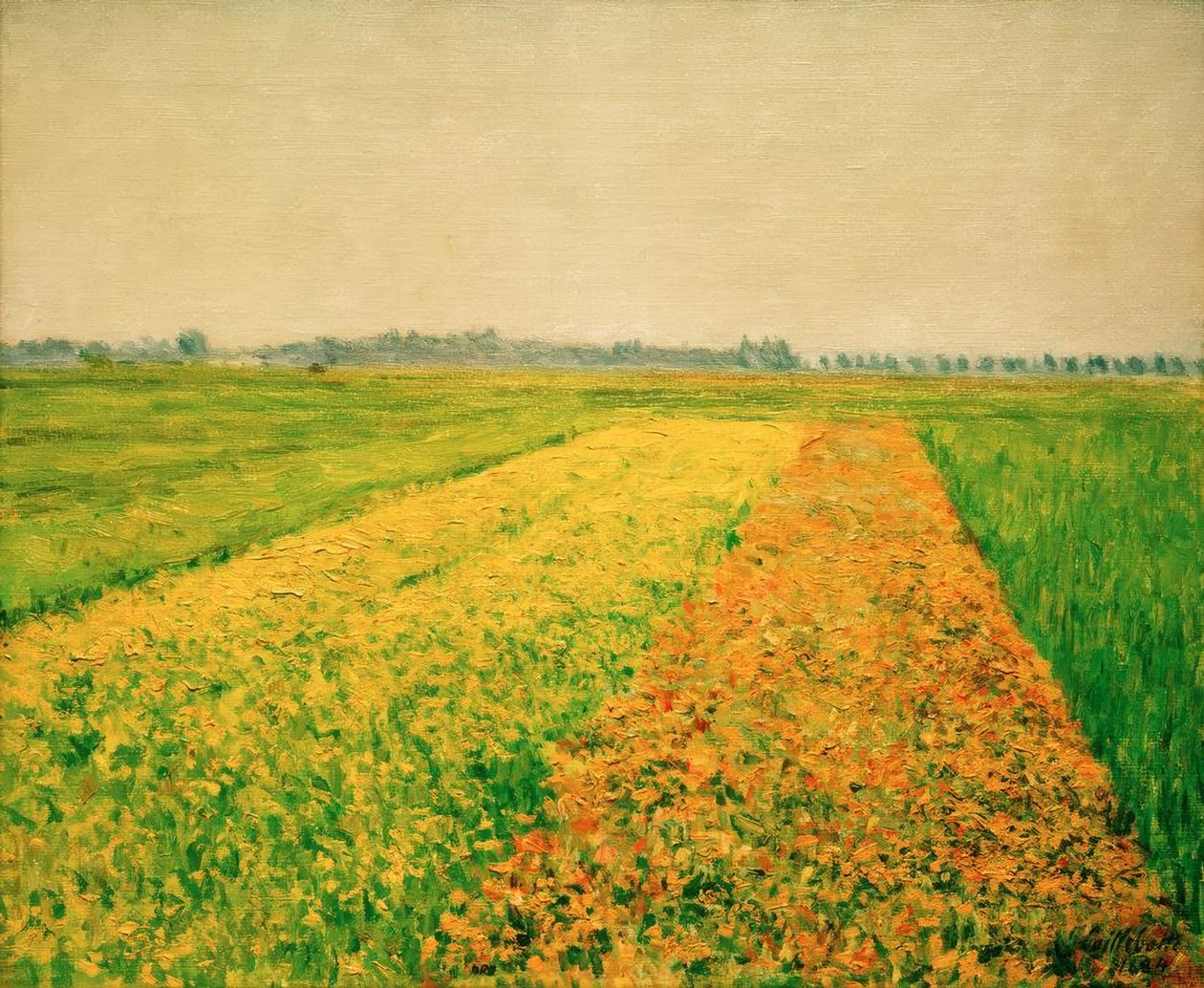 La pianura di Gennevilliers, campi gialli da Gustave Caillebotte