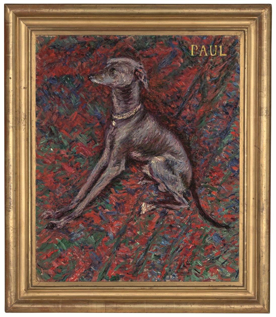 Le chien 