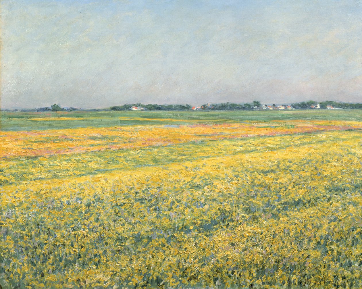 La pianura di Gennevilliers, campi gialli, 1884 da Gustave Caillebotte