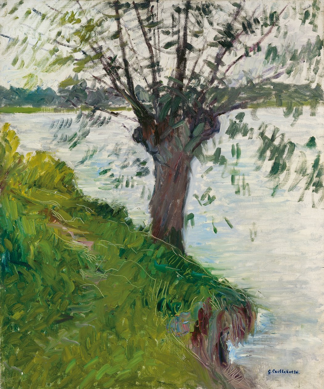 Salice sul fiume; Saule au bord de la rivière, c. 1891 da Gustave Caillebotte