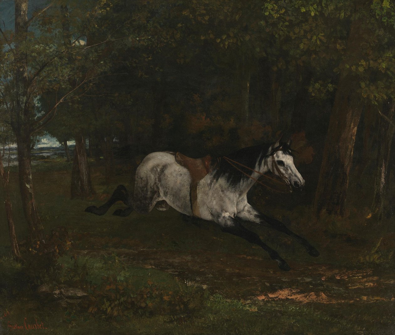 Cavallo che corre senza fermarsi da Gustave Courbet
