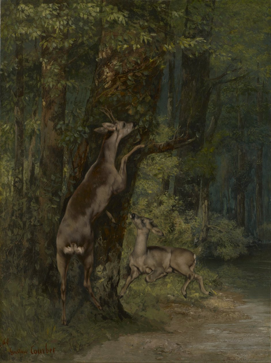 Francese: Cerfs dans la forêt Cervi nella foresta da Gustave Courbet