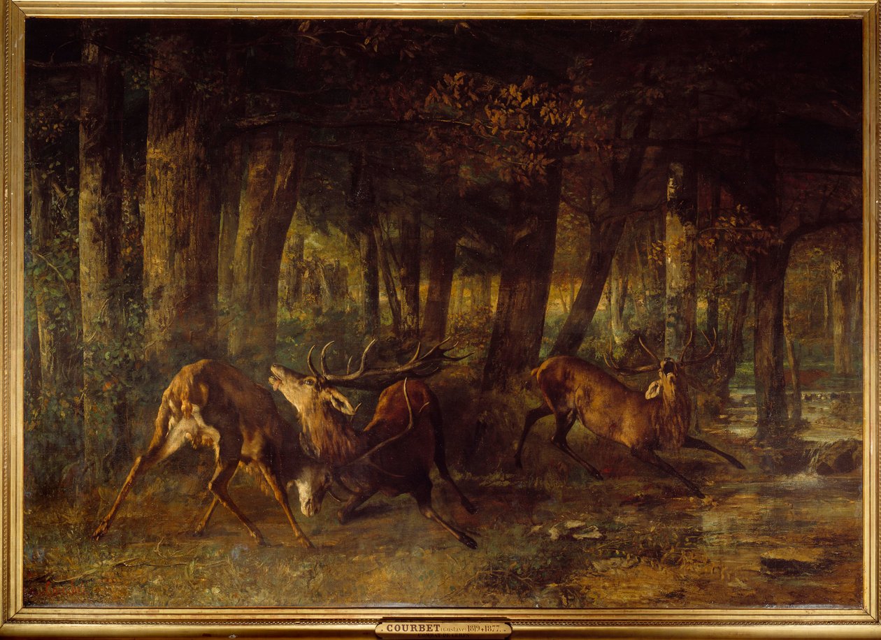Rut primaverile, combattimento di cervi da Gustave Courbet