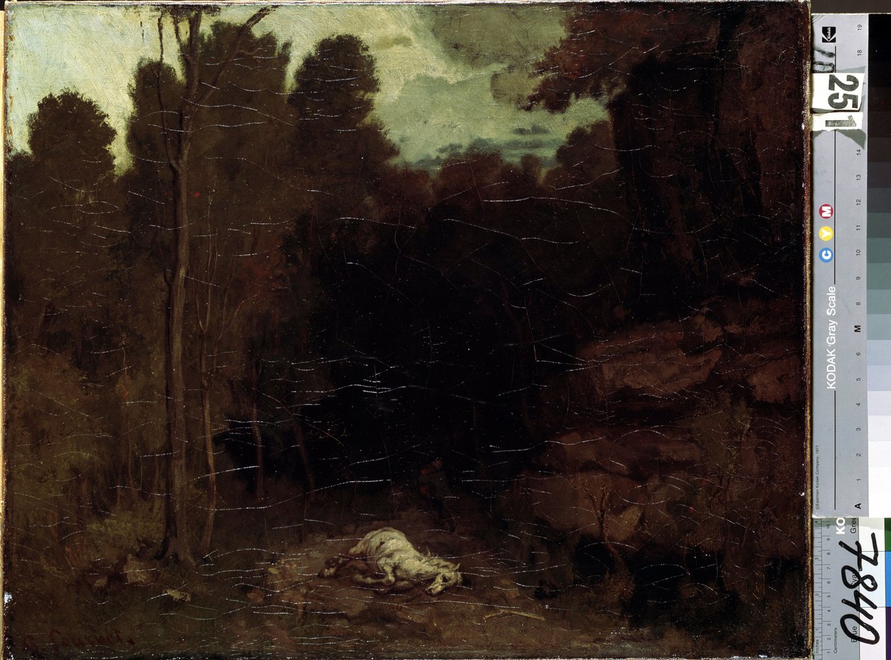 Immagine sconosciuta da Gustave Courbet