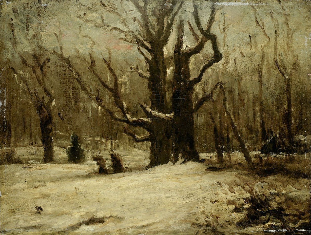 Paesaggio invernale da Gustave Courbet