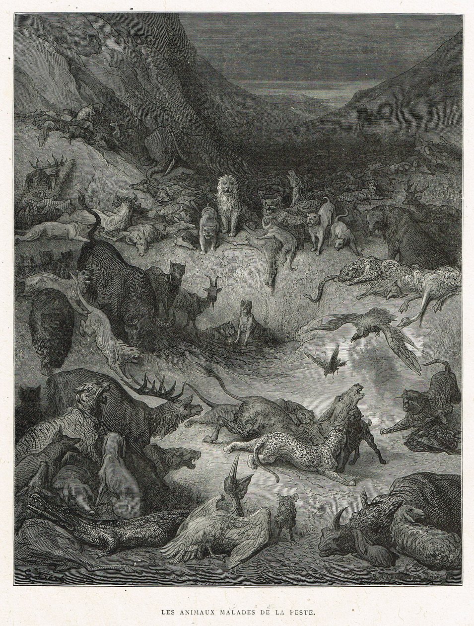 Animali malati di peste da Gustave Dore