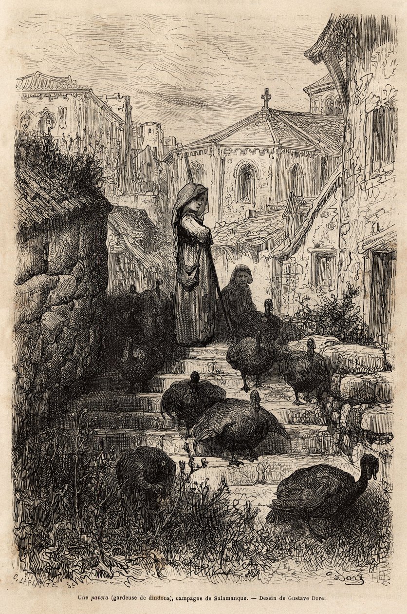 Un guardiano di tacchini, nelle strade di un villaggio nella campagna di Salamanca, disegno di Gustave Dore, incisione per illustrare il viaggio in Spagna, di Charles Davillier, 1862 da Gustave Dore