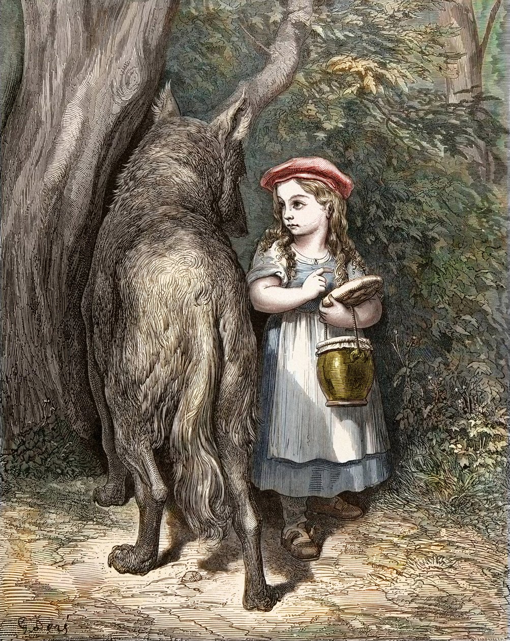 Attraversando il bosco, Cappuccetto Rosso incontra il lupo. Incisione di Gustave Doré (1832-1883) da "Le Fiabe" di Charles Perrault (1628-1703) da Gustave Dore